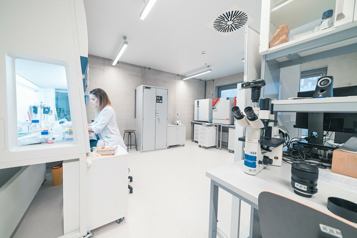 Toms Grīnbergs, Latvijas Universitātes Komunikācijas departaments