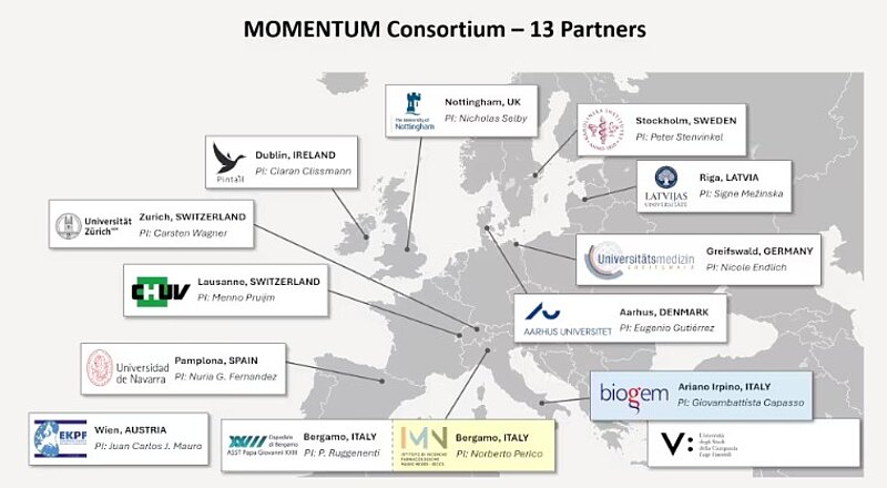 Hroniska nieru slimība un kognitīvo spēju pasliktināšanās: uzsākts Eiropas projekts MOMENTUM